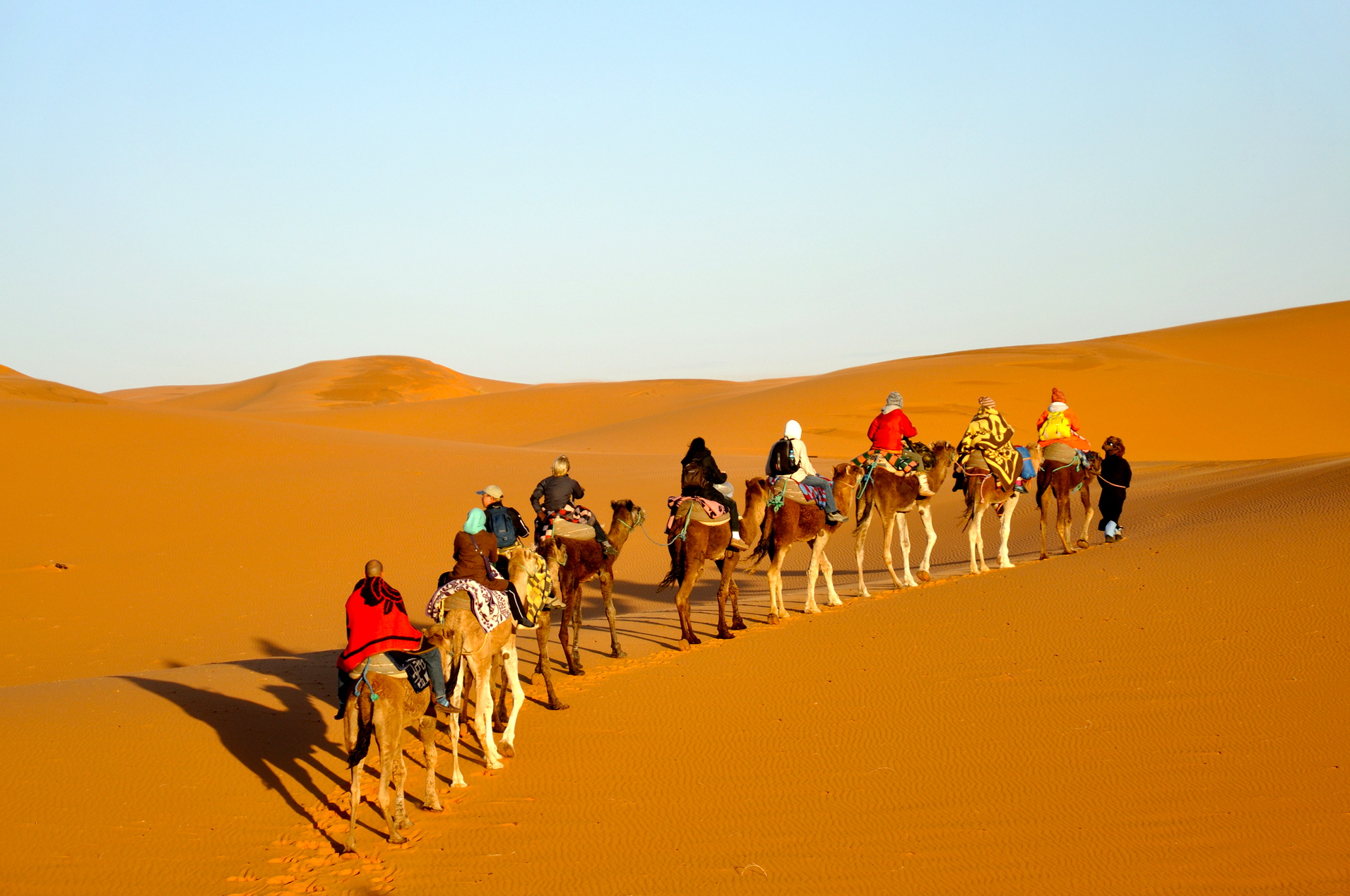 Desert In Morocco