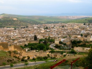 Fes Medina View