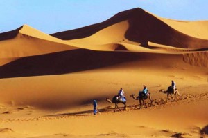 Sahara Caravan