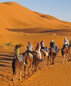 Morocco Family Adventure Tour, Sahara Desert