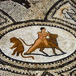 mosaic-art-volubilis-morocco-travel-blog