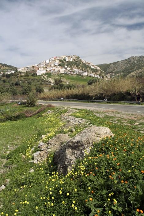 Sacred mouslim city Moulay Idriss, Morocco, Africa