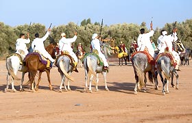 Fantasia Horse back equestrian performance in Meknes