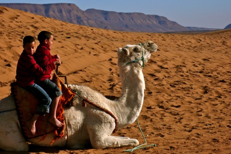 Camel-Trek-Zagora-Dunes-Of-Tinfo
