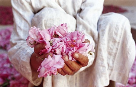 Man-with-Roses-Valley-Of-Roses-