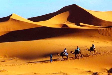 Sahara-Camel-Caravan