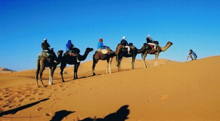 Camel-Trekking-in-Merzouga