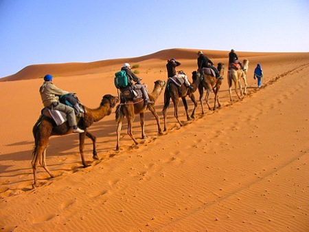 Camel-Trekking-in-Sahara-Desert