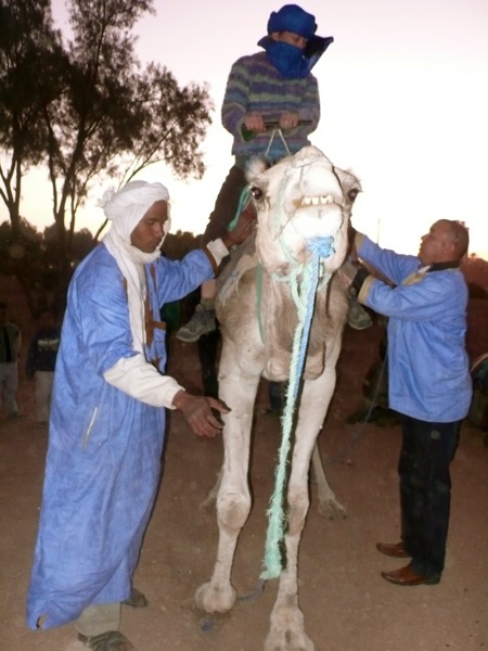 M'hamid-Sahara-Camel-Trek