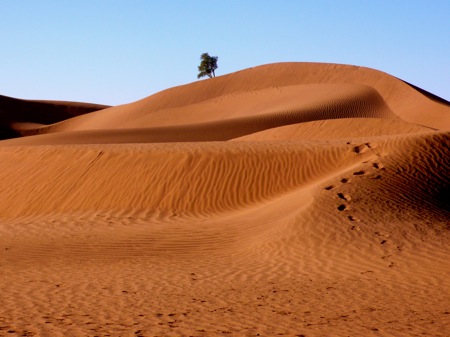 M'hamid-Sahara-Desert-Dunes