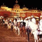 Chez-Ali-Equestrian-Horses- Marrakech