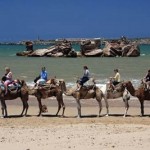 Essaouira-Camel-Trek-Beach