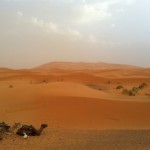 Merzouga-Sahara-Desert-Erg Chebbi-Dunes