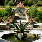 Tresco Abbey Gardens Scilly, England