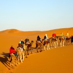 Camel Trek Sahara Desert Merzouga