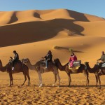 Travel Exploration Guest Photograph Sahara Desert