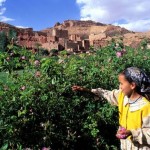 Valley of Roses Morocco