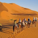 Family Tour Travel Exploration Camel Trekking