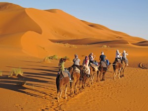 Family Tour Travel Exploration Camel Trekking
