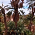 Morocco-Weather-Travel Exploration