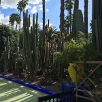 Majorelle-Gardens-Top-5-Things-Marrakech