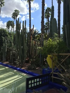 Majorelle Gardens, Top 5 Things Marrakech