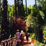 Majorelle-Gardens-Travel-Exploration