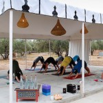 Peacock-Pavilion-Yoga- Tent-Morocco-Travel-Blog