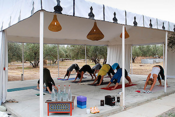 Peacock Pavilion, Yoga Tent, Marrakech