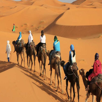 Sahara Desert Family Safari, Morocco