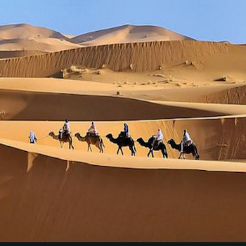 Erg Chebbi Dunes, Camel Trekking, Merzouga